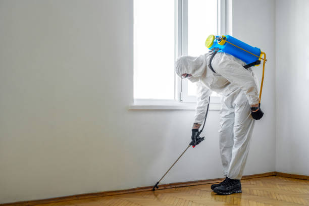 Best Termite Control Services  in Hilltop, SC